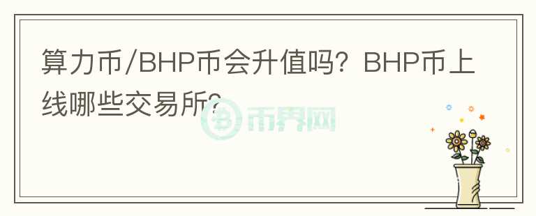 算力幣/BHP幣會(huì)升值嗎？BHP幣上線哪些交易所？