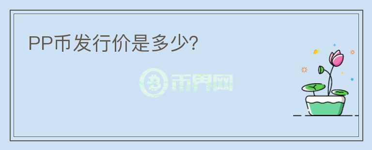 PP幣發(fā)行價是多少？