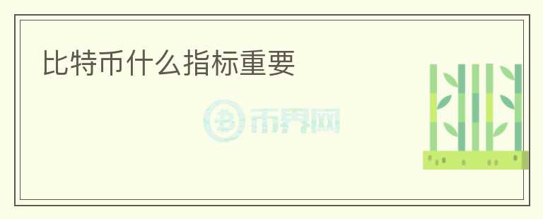 比特幣什么指標重要