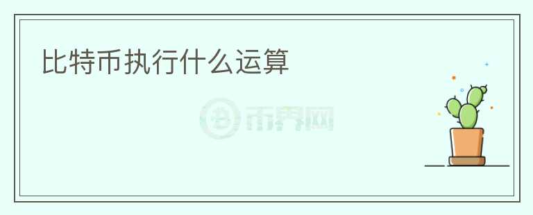 比特幣執(zhí)行什么運算