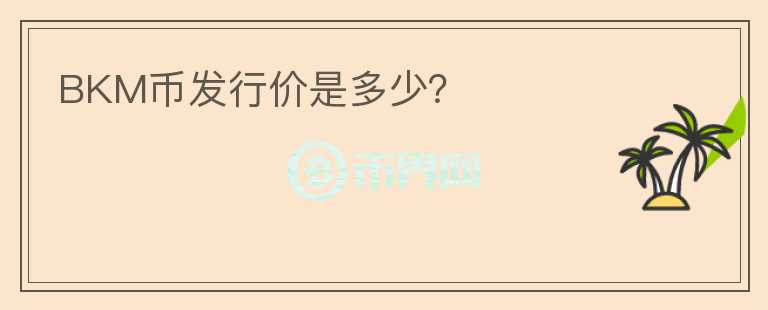 BKM幣發(fā)行價(jià)是多少？