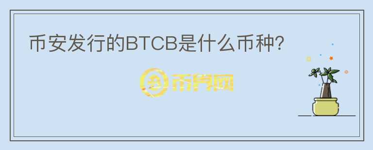 幣安發(fā)行的BTCB是什么幣種？