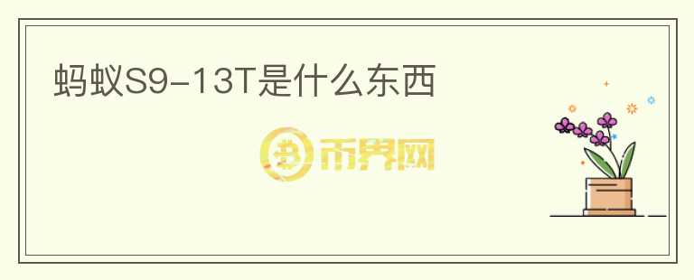 螞蟻S9-13T是什么東西