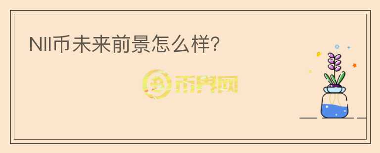 NII幣未來前景怎么樣？