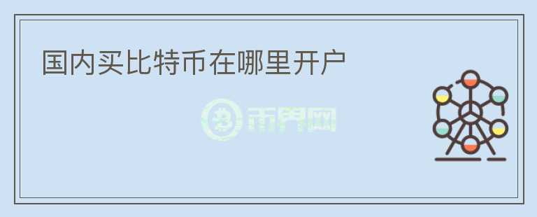 國內(nèi)買比特幣在哪里開戶