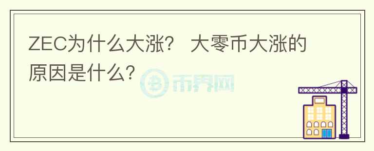 ZEC為什么大漲？ 大零幣大漲的原因是什么？