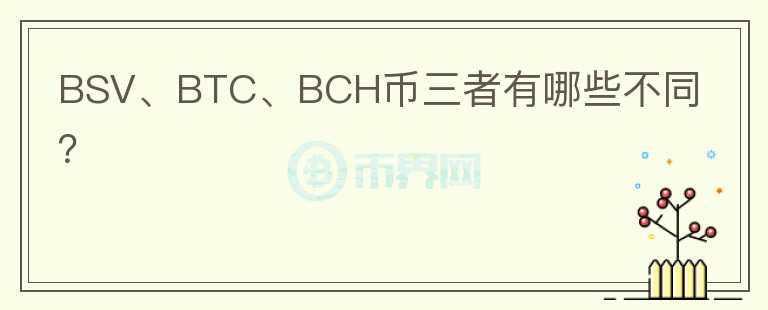 BSV、BTC、BCH幣三者有哪些不同？