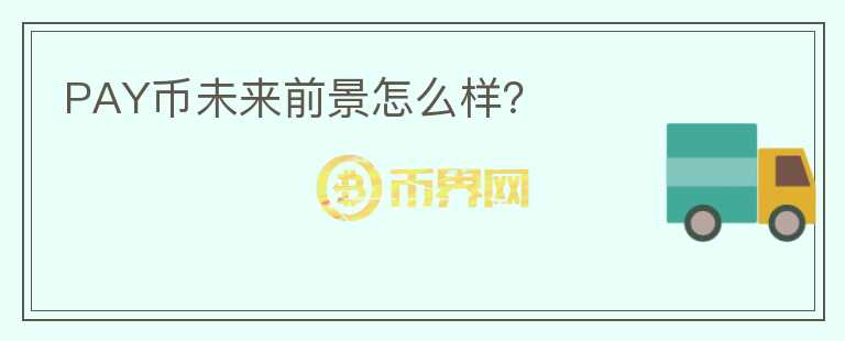 PAY幣未來前景怎么樣？