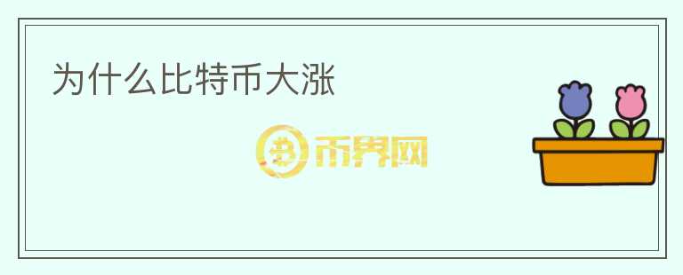 為什么比特幣大漲