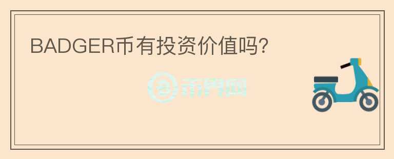 BADGER幣有投資價值嗎？