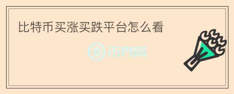 比特幣買漲買跌平臺(tái)怎么看