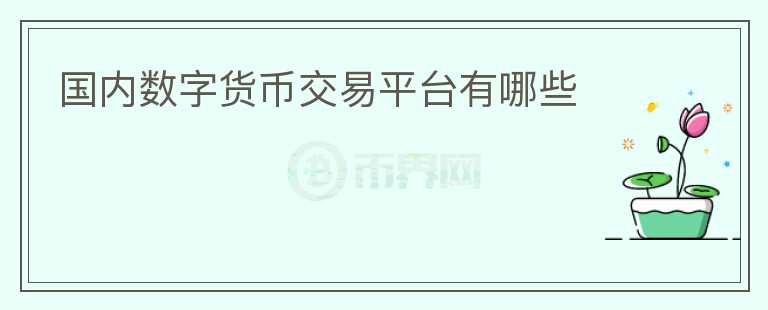 國內(nèi)數(shù)字貨幣交易平臺有哪些