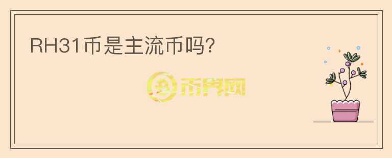 RH31幣是主流幣嗎？