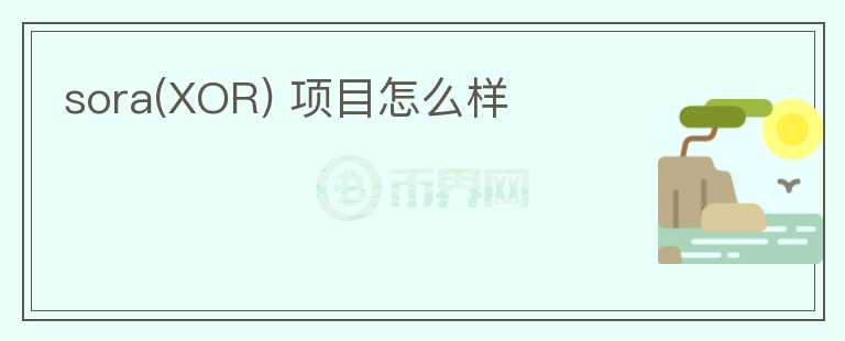 sora(XOR) 項目怎么樣