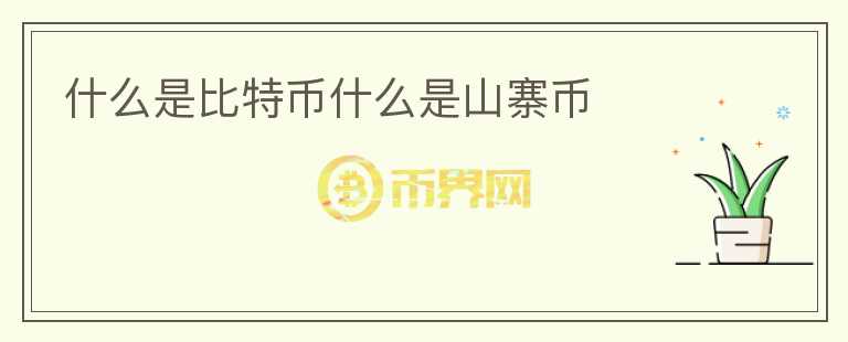 什么是比特幣什么是山寨幣