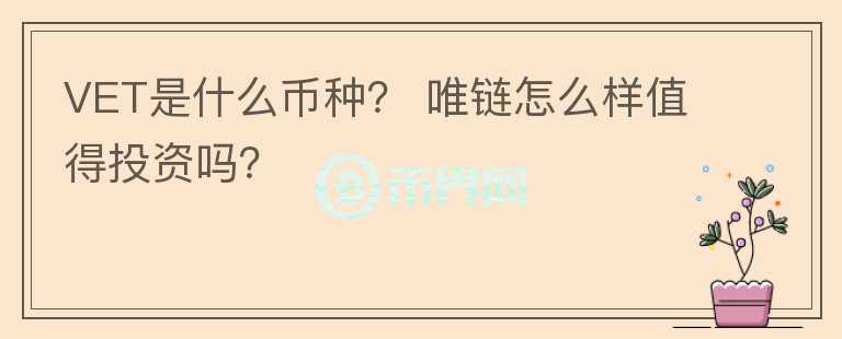 VET是什么幣種？ 唯鏈怎么樣值得投資嗎？