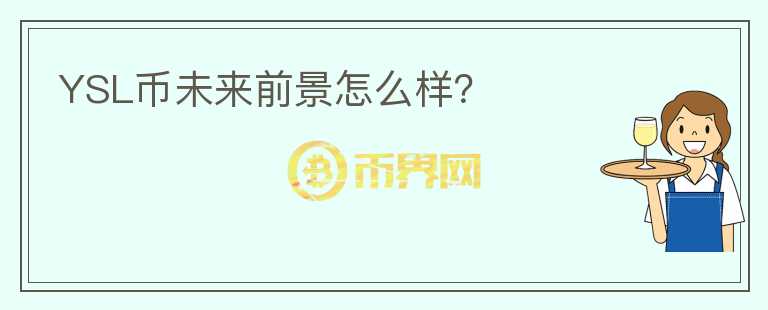 YSL幣未來前景怎么樣？