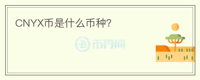 CNYX幣是什么幣種?