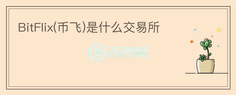 BitFlix(幣飛)是什么交易所
