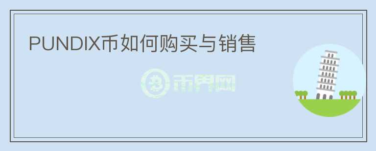 PUNDIX幣如何購買與銷售