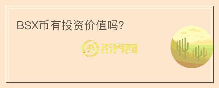 BSX幣有投資價值嗎？
