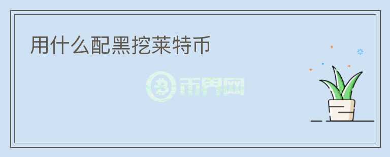 用什么配黑挖萊特幣