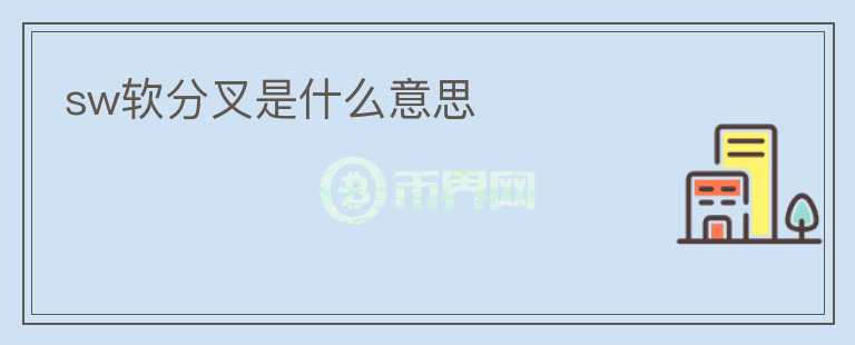 sw軟分叉是什么意思