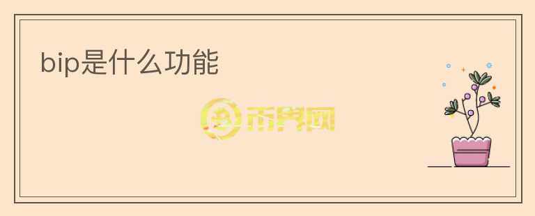 bip是什么功能