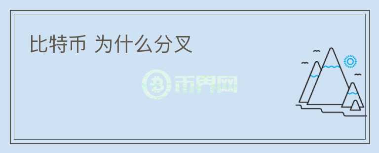 比特幣 為什么分叉