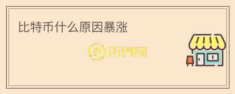 比特幣什么原因暴漲