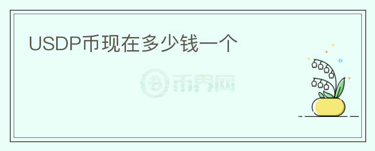 USDP幣現(xiàn)在多少錢(qián)一個(gè)