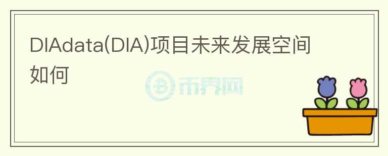 DIAdata(DIA)項目未來發(fā)展空間如何