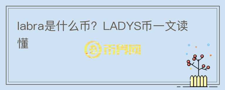 labra是什么幣？LADYS幣一文讀懂