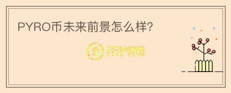 PYRO幣未來前景怎么樣？