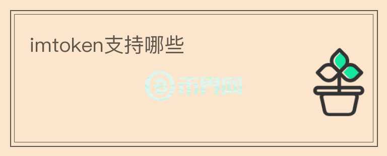 imtoken支持哪些