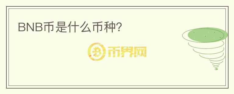 BNB幣是什么幣種？