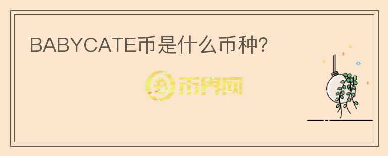 BABYCATE幣是什么幣種？