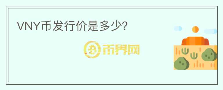 VNY幣發(fā)行價(jià)是多少？