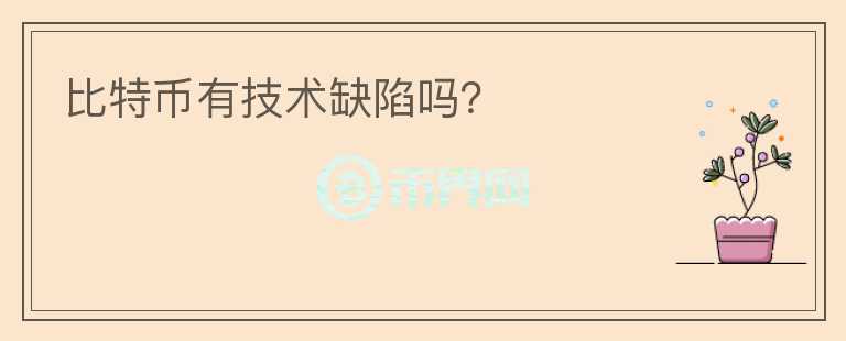 比特幣有技術(shù)缺陷嗎？