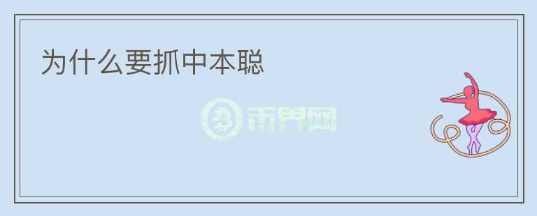 為什么要抓中本聰