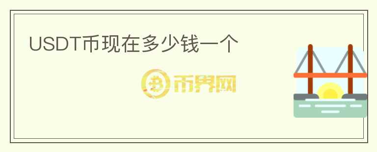 USDT幣現(xiàn)在多少錢一個