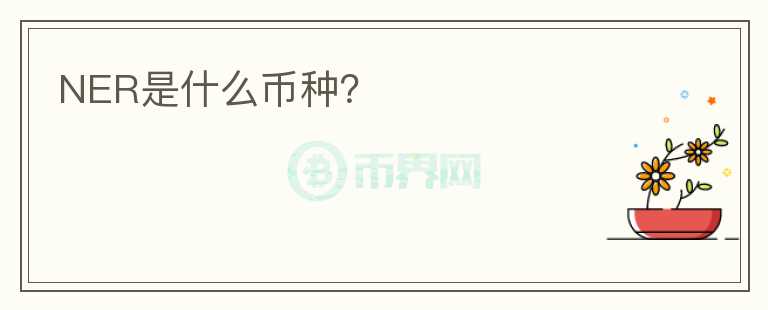 NER是什么幣種？