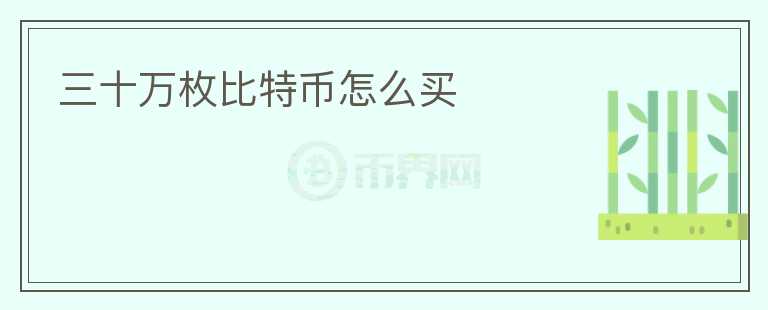 三十萬枚比特幣怎么買