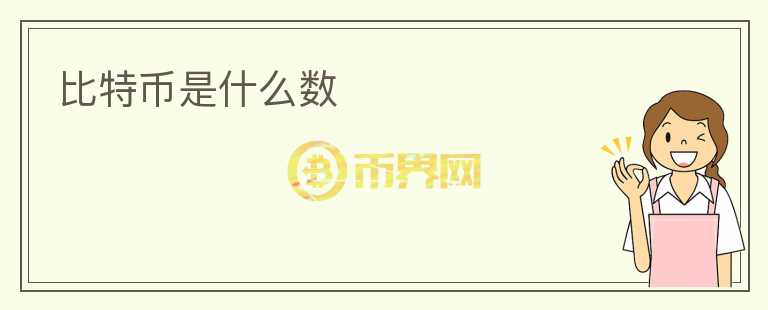比特幣是什么數(shù)