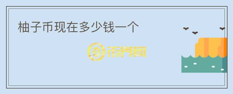 柚子幣現(xiàn)在多少錢一個(gè)