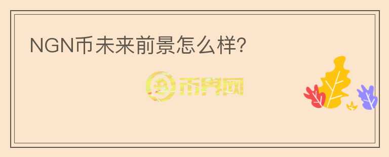 NGN幣未來前景怎么樣？