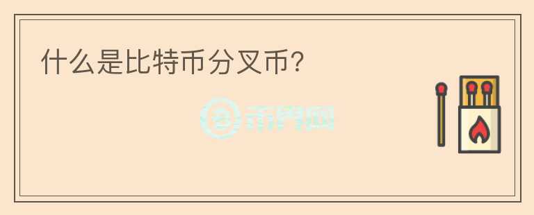 什么是比特幣分叉幣？