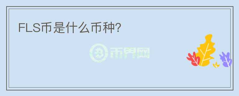 FLS幣是什么幣種?
