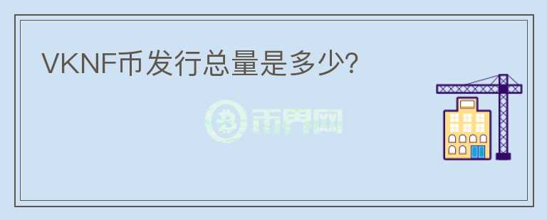 VKNF幣發(fā)行總量是多少？