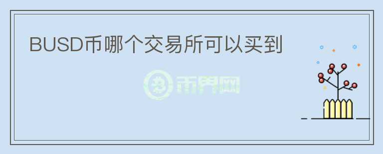 BUSD幣哪個(gè)交易所可以買到